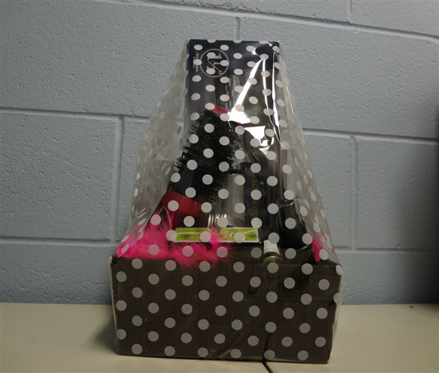 #4 A Visit to the Salon in a Basket