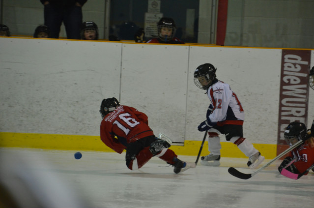 DSC_1623.jpg