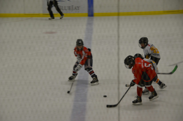 DSC_5718.jpg