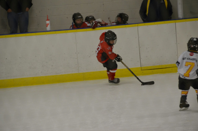 DSC_5743.jpg