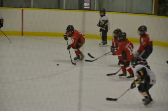 DSC_5856.jpg