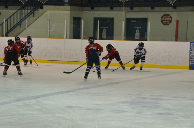 DSC_2900.jpg