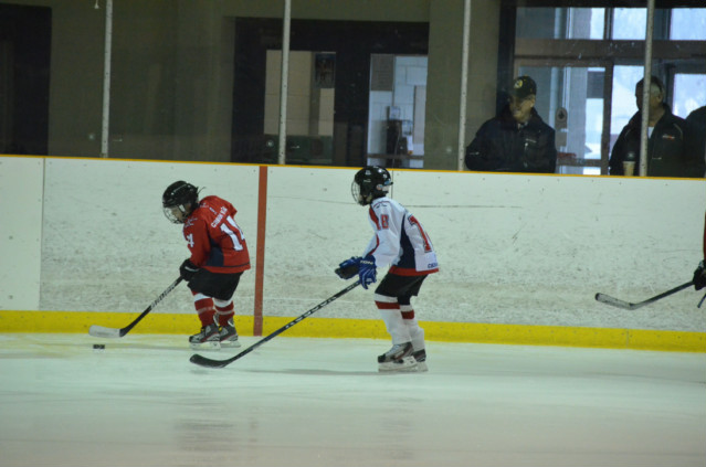 DSC_2919.jpg