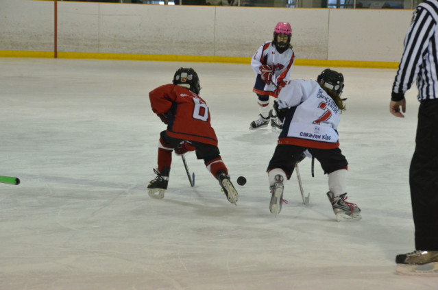 DSC_3022.jpg