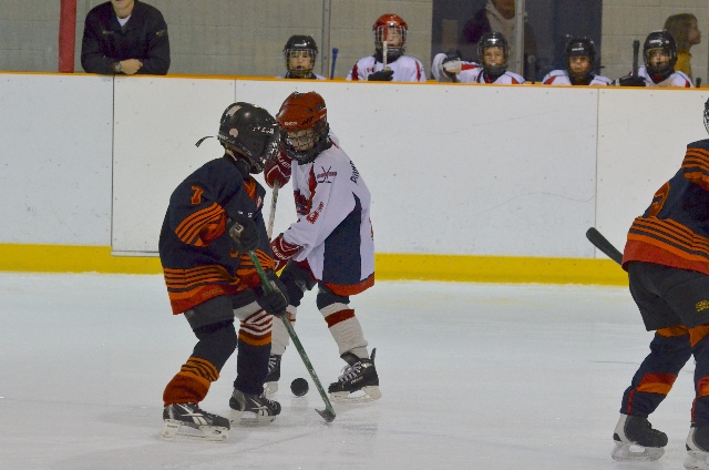 DSC_3654.jpg