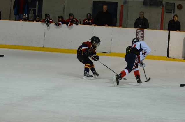DSC_8424.jpg